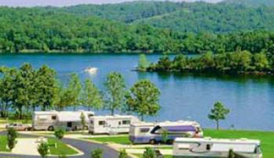 Winter Texans Online